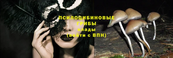 бошки Красноперекопск