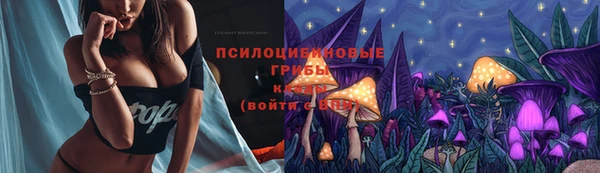 бошки Красноперекопск