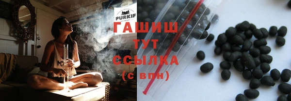 индика Краснослободск
