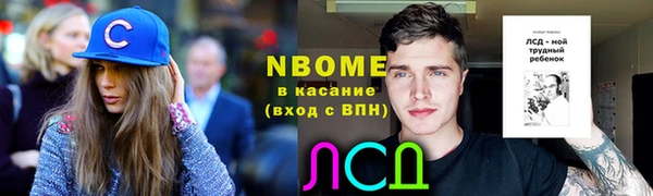 индика Краснослободск