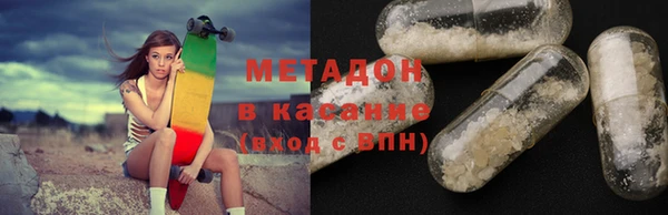 индика Краснослободск