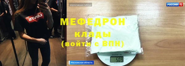 индика Краснослободск