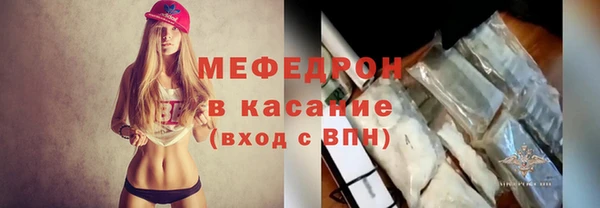 индика Краснослободск