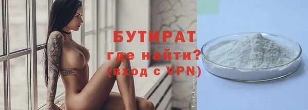 индика Краснослободск