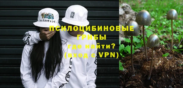 индика Краснослободск