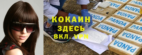 индика Краснослободск
