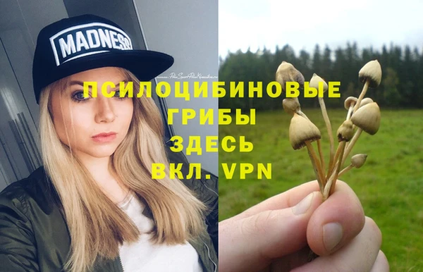 бошки Красноперекопск