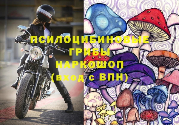 индика Краснослободск