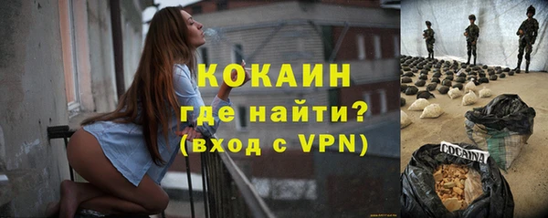 индика Саяногорск