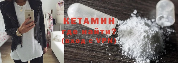индика Краснослободск