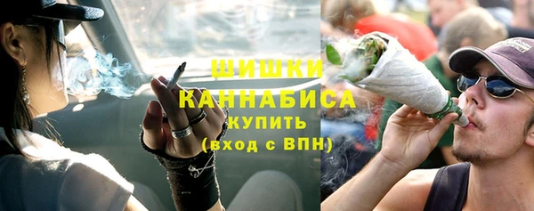 индика Краснослободск